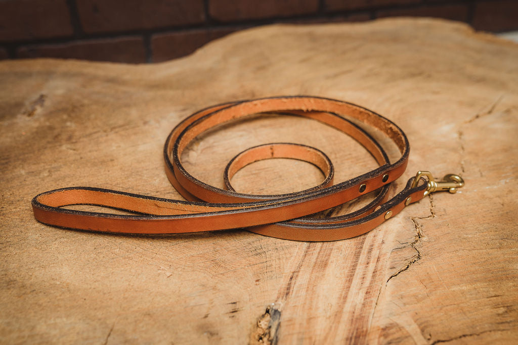 English Tan Dog Leash
