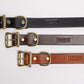 Black Bridle Dog Collar