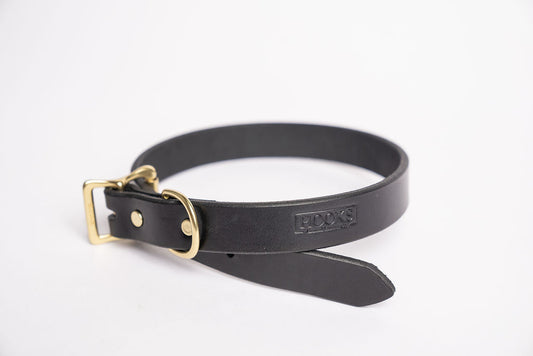 Black Bridle Dog Collar